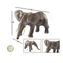 חיות רכות - פיל