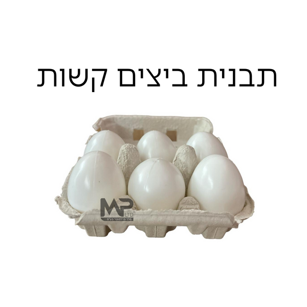 סט ביצים בתבנית