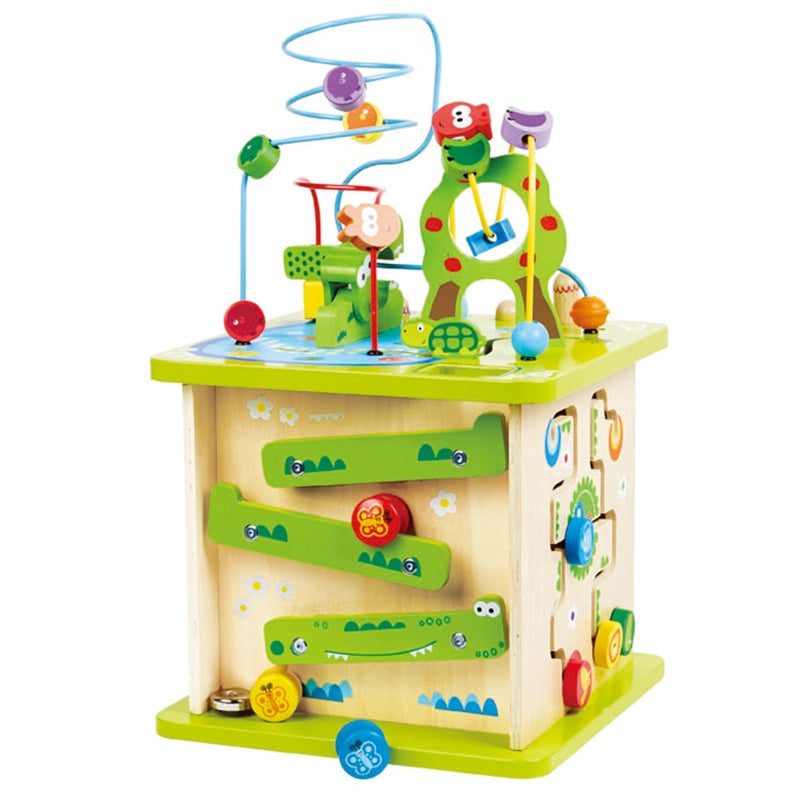 מרכז פעילות HAPE