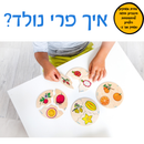 איך פרי נולד - הסדרה החינוכית בלדוק