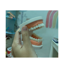 ללמוד לצחצח שיניים