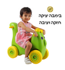 בימבה דודי