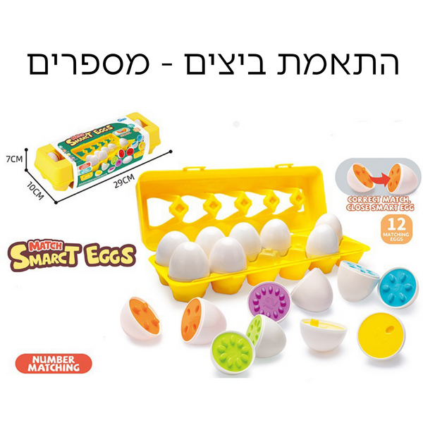 התאמת ביצים צהוב -  מספרים