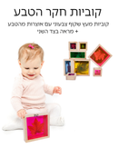 קוביות עץ חקר הטבע + מראה