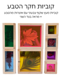 קוביות עץ חקר הטבע + מראה