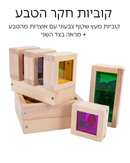 קוביות עץ חקר הטבע + מראה