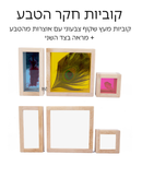 קוביות עץ חקר הטבע + מראה