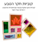 קוביות עץ חקר הטבע + מראה