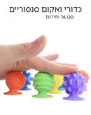 כדורי ואקום תחושתיים 16 חלקים