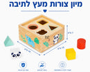 מיון צורות מעץ לתיבה