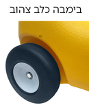 בימבה כלב צהוב